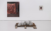 Bendt Eyckermans, The carrier, installation view