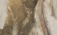 Marlene Almeida, Atlântico Sertão (Group Show), news image