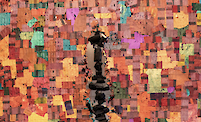 Antonio Tarsis, 36th Bienal de São Paulo: Not All Travellers Walk Roads – Of Humanity as Practice *(Group Show)*, news image