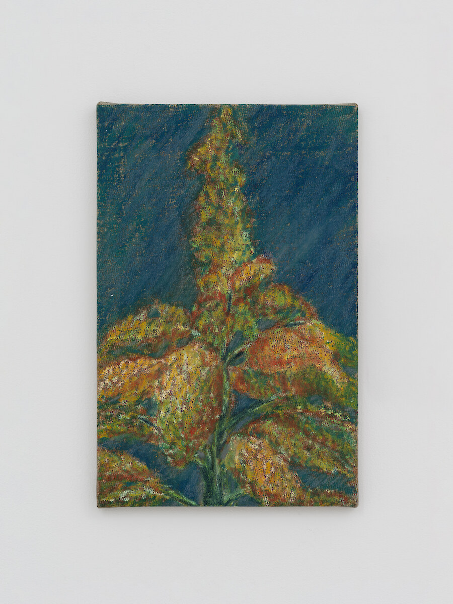 Untitled, 2026, Oil pastel on linen, 35.5 x 23 x 1.2 cm