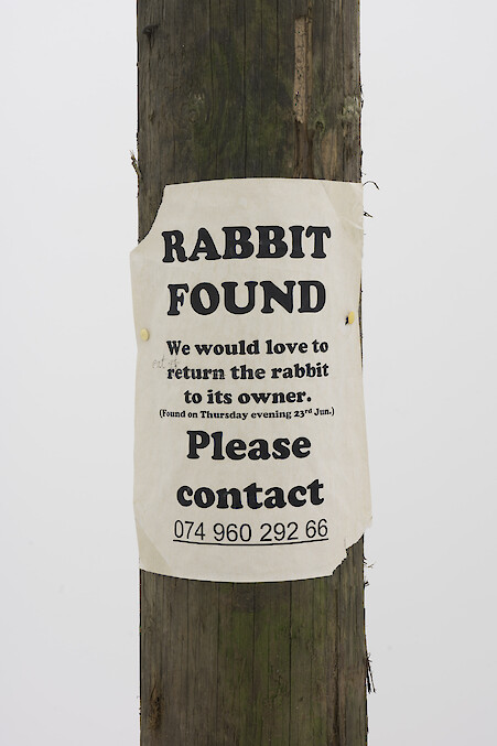 Installation View, Lloyd Corporation, *Person to Person*, 2020