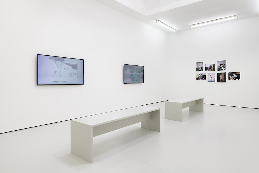 Installation View, Evelyn Taocheng Wang, *No Blood in the Afternoon*, 2019
