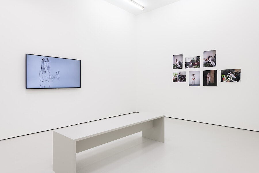 Installation View, Evelyn Taocheng Wang, *No Blood in the Afternoon*, 2019