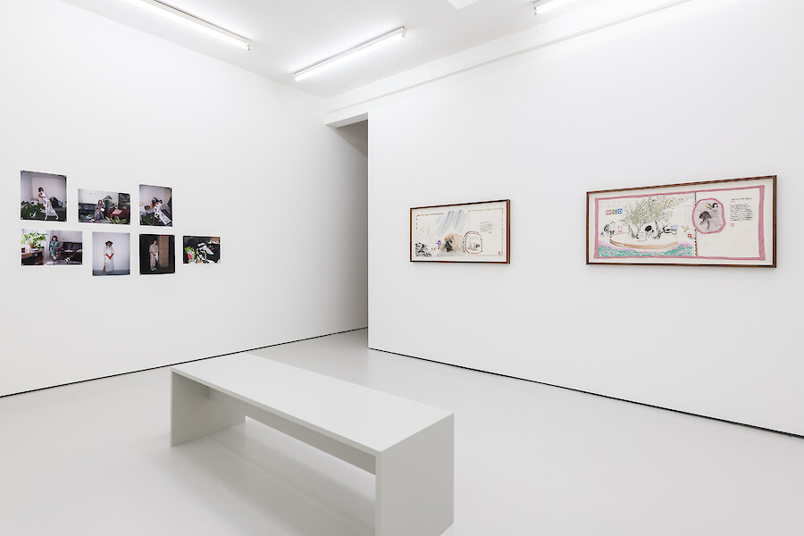 Installation View, Evelyn Taocheng Wang, *No Blood in the Afternoon*, 2019