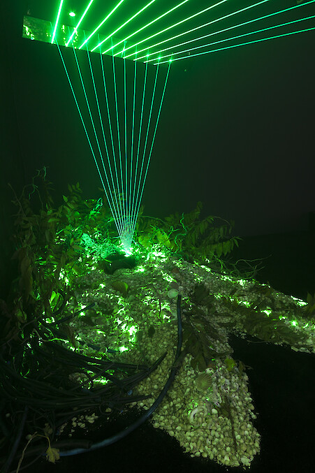 *No history in a room filled with people with funny names 5*, 2018, Installation view