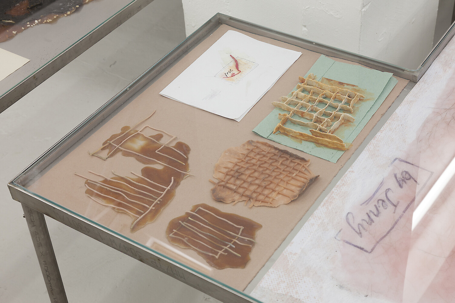 *Soft Tissue check by Jenny* (detail view), 2016, Stainless steel vitrine table, Inkjet on canvas, Polymer clay, Blotting towel, Paper, Sellotape, Latex, 76 x 101 x 101 cm