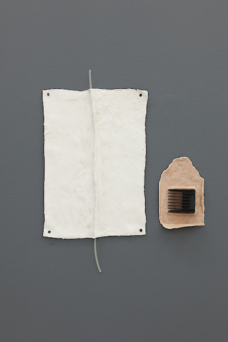 *Drive*, 2016, Polymer clay, Catheter, clipper attachment, Steel cut tacs, 43 x 34 cm