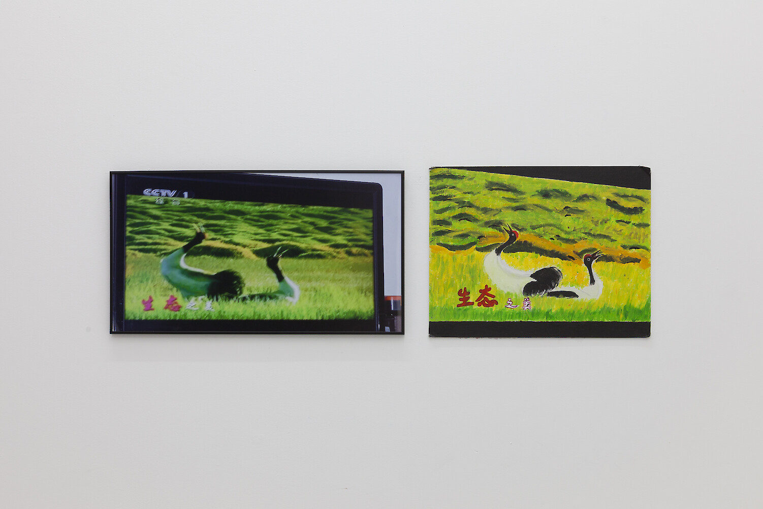 *TLYA 09_Duck CCTV/TLYA 10_Duck painting*, 2014, C-print and Acrylic on canvas, 33 x 60 cm and 34 x 45 cm