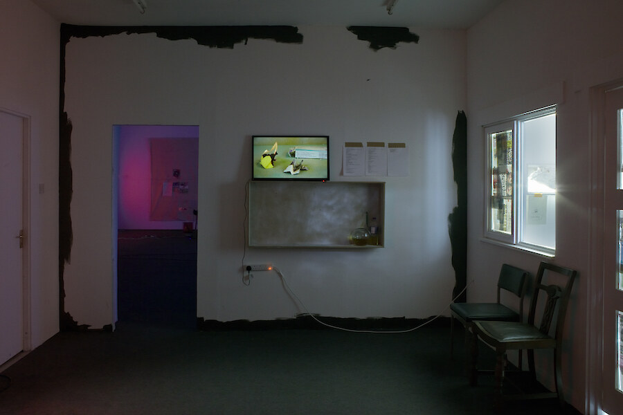 *the omega point just ate his brains...*, 2013, Installation view