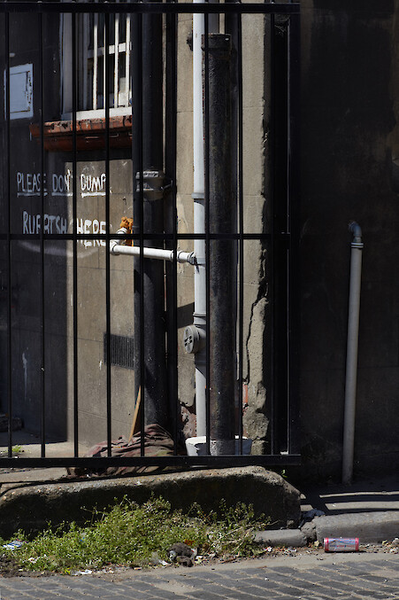 *Identical Strangers (1-10)*, 2013, Rainwater pipes, concrete, Dimensions variable