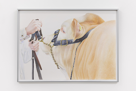 Stuart Middleton
Lower Croft Nimrod 2, 2020

Coloured pencil on paper
59.4 x 84.1 cm
(CI-SM-0102)
$8,000 + VAT

Additional Views, artwork