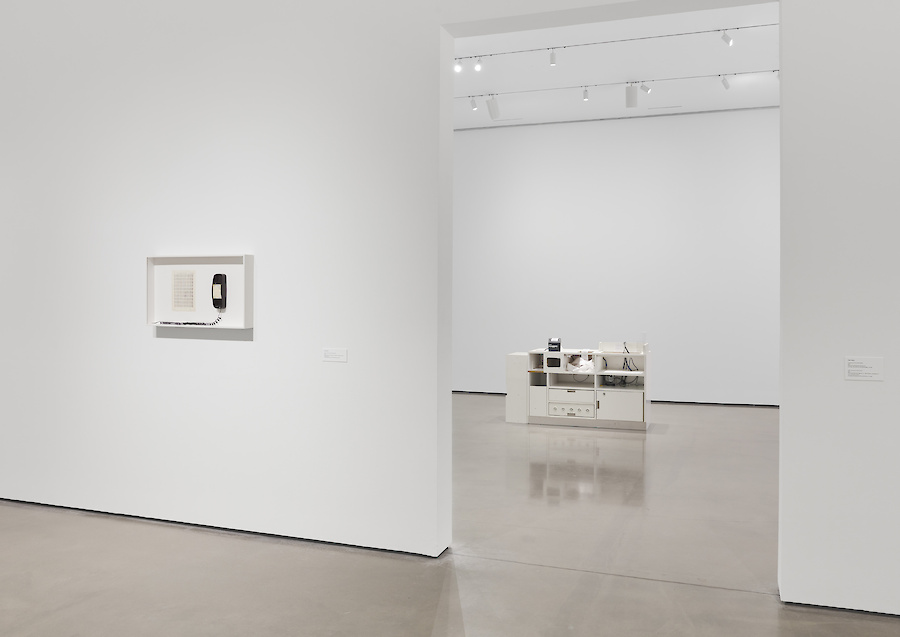 Rose Salane, *C21OWO* [Installation View] Hessel Museum of Art, NY, 2021