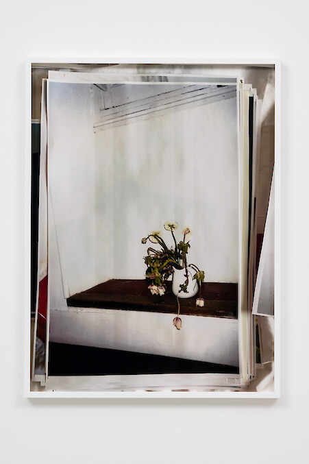 *Safi*, 2021, C-Print mounted on aluminium, Unique, 56.2 x 42.6 x 3.3 cm