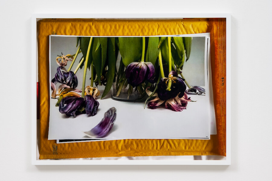 *Still life ?*, 2021, C-Print mounted on aluminium, Unique, 32.5 x 42.6 x 3.3 cm